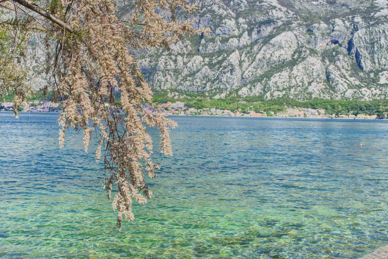 Apartments Ivanovic Kotor Kültér fotó